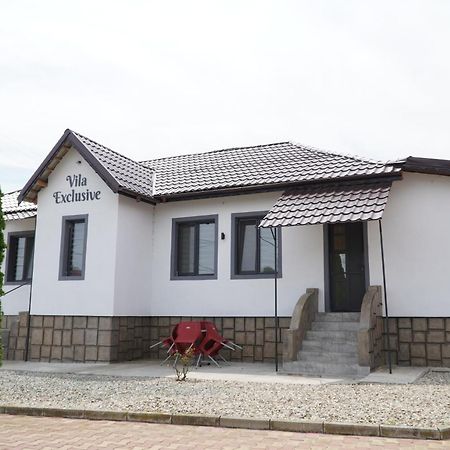 Vila Exclusive Târgu Jiu المظهر الخارجي الصورة