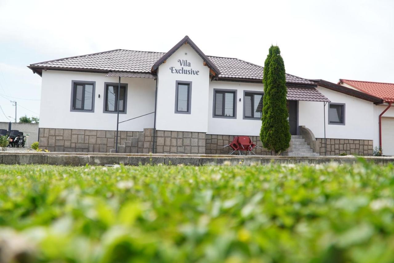 Vila Exclusive Târgu Jiu المظهر الخارجي الصورة