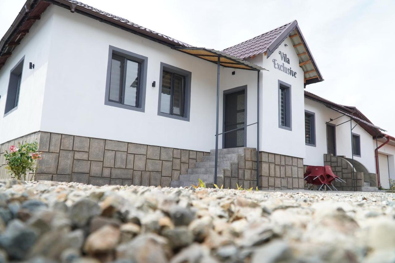 Vila Exclusive Târgu Jiu المظهر الخارجي الصورة